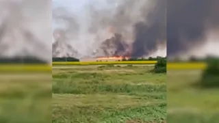 Опубликовано жуткое видео горящего поля с пшеницей в Волгоградской области