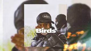 [FREE] Melodic x Afro Drill type beat  - 'Birds'