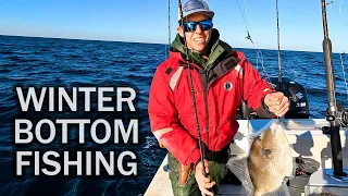 Winter Bottom Fishing | Triggerfish, Cobia, Snapper | We Even Made Some Friends Out There!