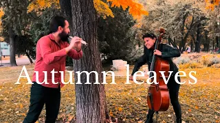 Янко та Ісамар виконують твір «Autumn leaves” в Пловдив