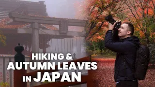 Tokyo's Mystical Mountain & Autumn Leaves | Solo Hiking In Japan