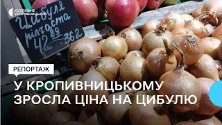 У Кропивницькому за два тижні цибуля подорожчала на 10 гривень