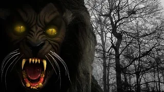 MY LIVING NIGHTMARE - 5 TRUE SCARY STORIES OF DOGMAN - What Lurks Above