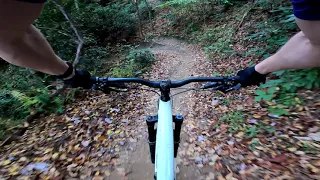 Lower Black Mountain Trail | Downhill Mountain Biking | Ranger District | Pisgah Forest NC