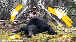 Jeff Jerome with Deep In The Bush Adventures takes a BIG Black Bear with a long bow in Saskatchewan