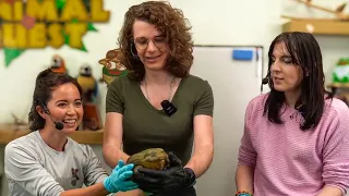 Eret & Ava Visits Maya At Her Animal Sanctuary