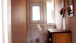 Poltergeist Activity Caught on Video Tape in Broad Daylight