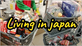 weekly grocery shopping in Japan | living in Japan | Japan vlog