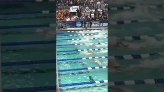 Leon Marchand Obliterates Field in a 100 Free… NCAA 400 Fr Relay