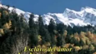 Slave to love Bryan Ferry (subtitulos en español)