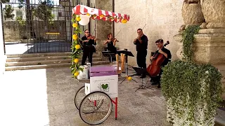 Carretto dei Gelati Zalp eventi e animazioni