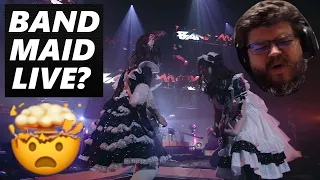 FIRST TIME HEARING BAND-MAID LIVE!!! BAND-MAID / DOMINATION (Official Live Video) Reaction (INSANE)