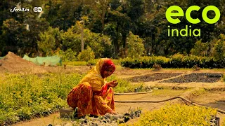 Eco India: Armed with microfinance loans, rural women in Kolkata are kickstarting fruit nurseries