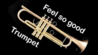 Feel so good (Trumpet)