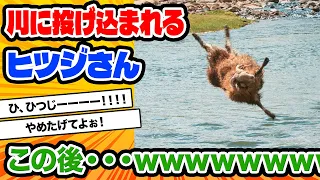 【2ch動物スレ】ヒツジ「うわあああああああああ」　カザフ人がヒツジを川へ投げる姿にTwitter民驚愕