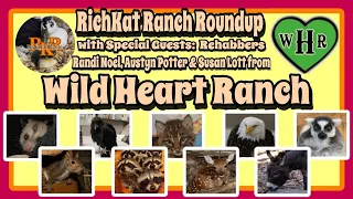 RKR Roundup Episode 073 - Featuring ♥ Wild Heart Ranch Wildlife Rescue & Rehabilitation ♥