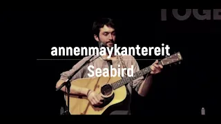 AnnenMayKantereit - Seabird (cover) | SOS SESSIONS Live | Türkçe Çeviri