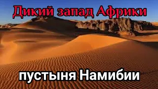 Дикий запад Африки : пустыня Намибии