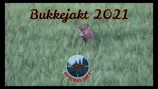 Bukkejakt 2021 Teaser