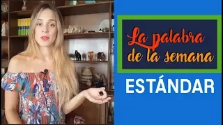 Palabra de la semana: Estándar | Español con María