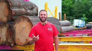 The Urban Lumber Process & Wood Kiln Dying - From Tree To Table®