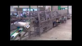 CPS Case Packing Systems  - CP 201