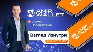 Amir Wallet: Взгляд Изнутри | 30.04.2024