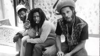 The Congos-Don't Blame it on I