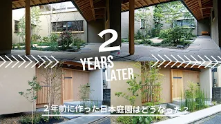 (JGTV) What turned out to be the Japanese garden we built two years ago?