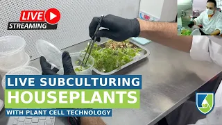 Live from Plant Cell Technology Labs -- 1/19/2024