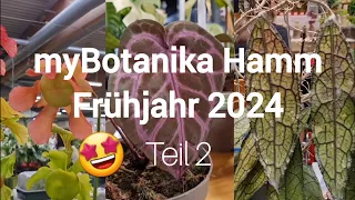 myBotanika Hamm Frühjahr 2024 🌱 | Teil 2 💚