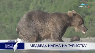 Медведь напал на туристку | Новости Камчатки | Происшествия | Масс Медиа