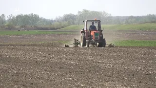 SETVA - POLJOPRIVREDNIK S TRAKTORIMA starijim OD SEBE - a radi zemlju VRHUNSKI - kako da opstanu...