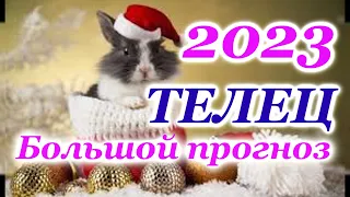 ТЕЛЕЦ - ТАРО ПРОГНОЗ на 2023 год - ГОДОВОЙ ПРОГНОЗ - ГОДОВОЙ РАСКЛАД 12 ДОМОВ - РАСКЛАД на ГОД