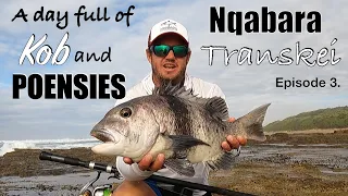 Kob and Black Mussel Cracker Fishing in the Transkei! Fishing at Nqabara! Remote Fishing Gem! Ep. 3