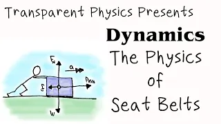 TP: Dynamics - Seatbelts