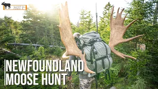 Newfoundland Moose Hunt Pt. 2 | Of Moose and Men