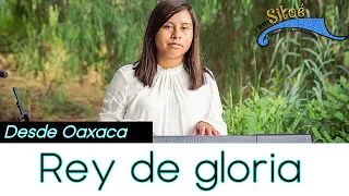 Rey de gloria | Grupo siloé EN VIVO!! | Música cristiana