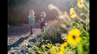 As Above, So Below - What Our Gardens Say About Who We Are, and Where We Are Headed w/David Newsom