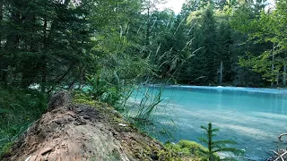 #Футаж голубая река в зеленом лесу ◄4K•HD► #Footage blue river in green forest