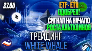 ETH-ETF Approval = ТРИГГЕР НА АЛЬТСЕЗОН! КУДА ПОЙДУТ АЛЬТКОИНЫ? АНАЛИЗ ВТС | L-2 | UNI | PEPE