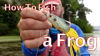 The Ultimate Guide To Topwater Frog Fishing