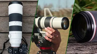 Top 10 Lenses for Wildlife Photography in 2023 (Best Sellers)