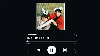 รวมเพลง Anatomy Rabbit (2021) รวมเพลงเพราะๆ อินดี้ เพลงฟังตอนขับรถ - Ep.2