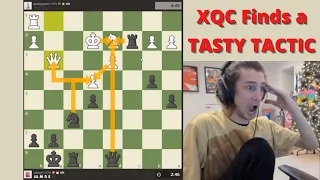 Grandmaster XQC finds a "NASTY TACTIC" in Chess!
