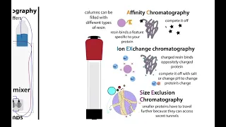 Overview of recombinant protein expression, purification, & structural biology