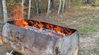 Biochar on the Farm: What Is It? What Are Its Benefits? How to Use It