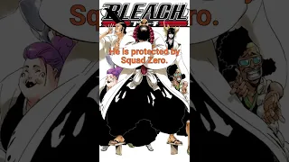 Who is the Soul King from Bleach #shorts