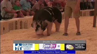 Top Cut Genetics | Double Time Spot Boar