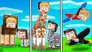 A CADA MINUTO VIRAMOS ANIMAIS NO MINECRAFT !